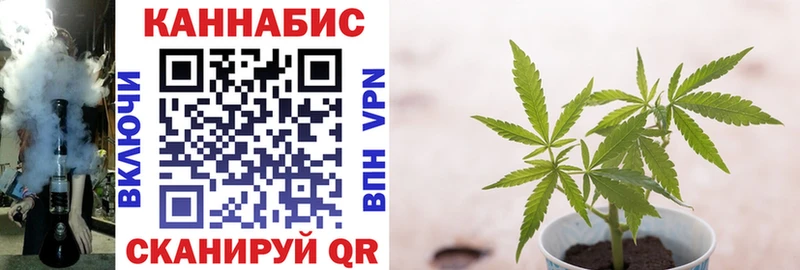 купить наркотики сайты  ссылка на мегу рабочий сайт  Конопля марихуана  Кашин 